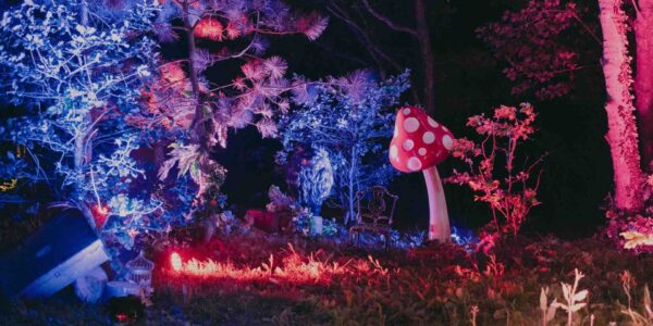 Enchanted-Garden-Festival-Theme