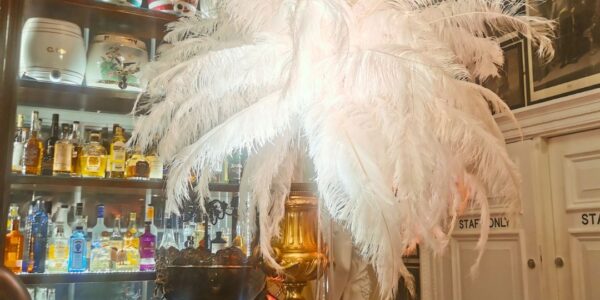 Feather-Hollywood-Light