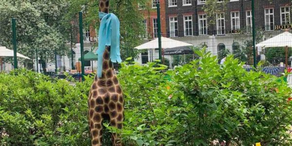 Giraffe-Prop-Wearing-Festival-Streamer-As-Ribbon