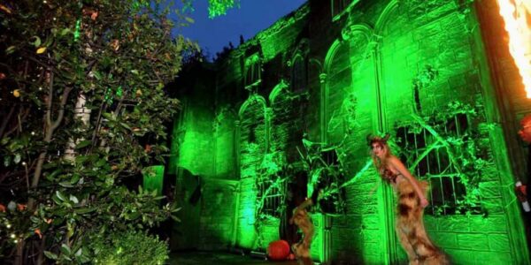 Halloween-Theming-For-Exterior-Of-Venue