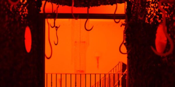 Immersive-Halloween-Themed-Room-Of-Venue