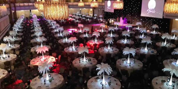 Ostrich Feather Centrepieces