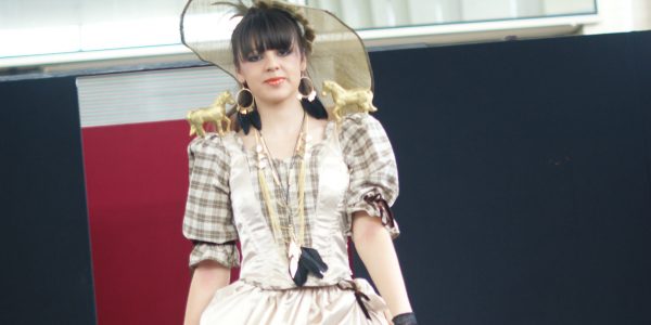 catwalk model compressed