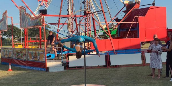 Aerial-Pole-Performer
