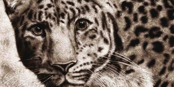 Sand-Art-Of-Leopard