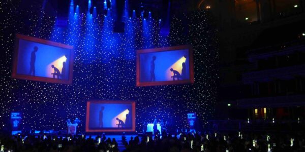 Bespoke-Shadow-Show-For-Stage