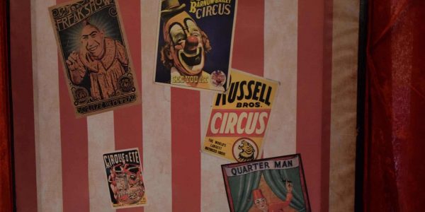 Bespoke-Circus-Backdrop