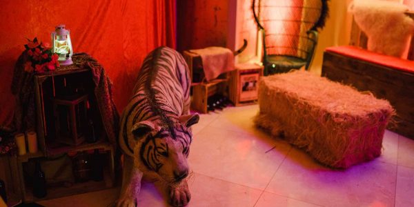 Bespoke-Lion-Circus-Prop