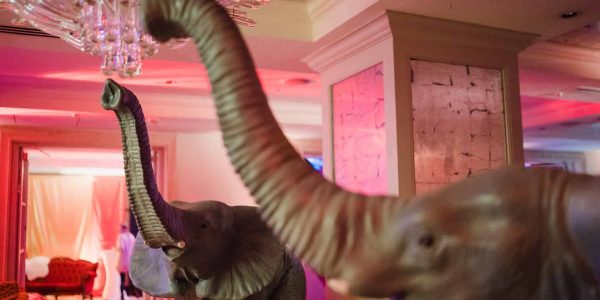 Circus-Elephant-Decorations