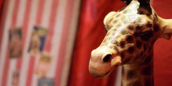 Circus-Giraffe-Prop