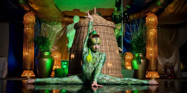 Aerial-Acrobatics-Artist-Contortion
