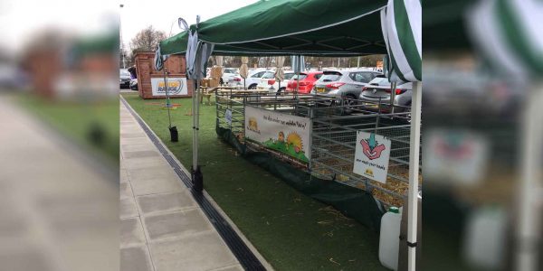 The-Mini-Mobile-Petting-Farm-Outside-Event