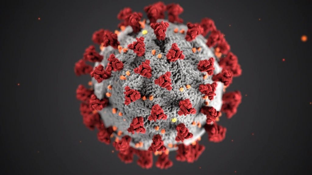 Close up image of what Coronavirus looks like