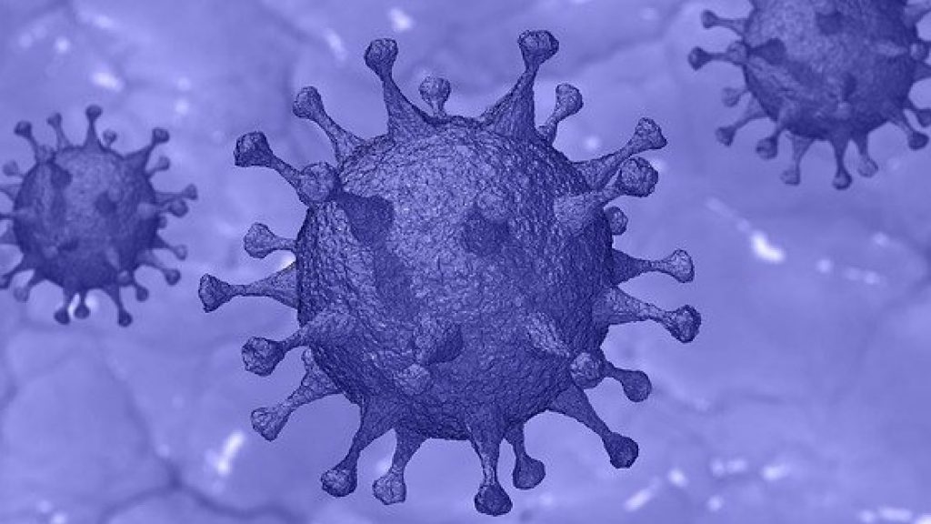 Image of Covid-19 virus. Talking about the affects it has on the events industry