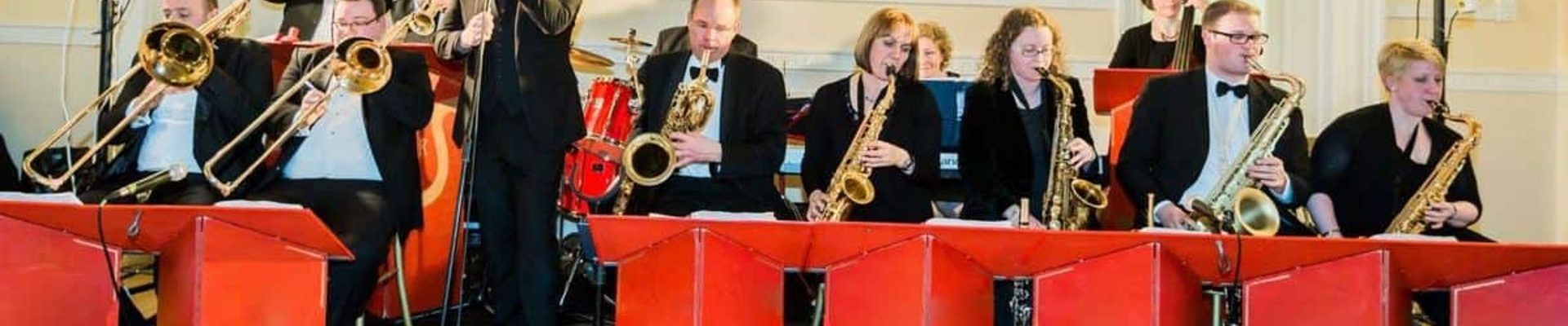 Musician-and-Singer-Band-Hire