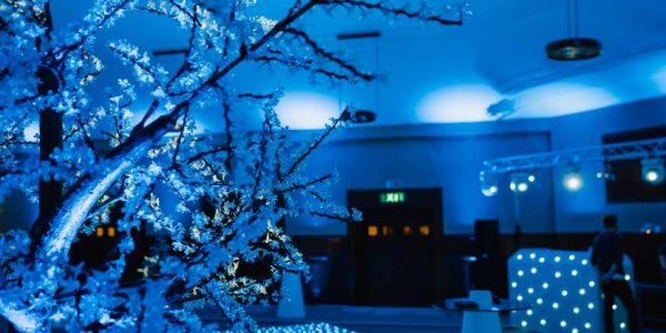 Attractions WInter Themed