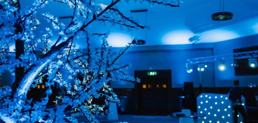 Attractions WInter Themed