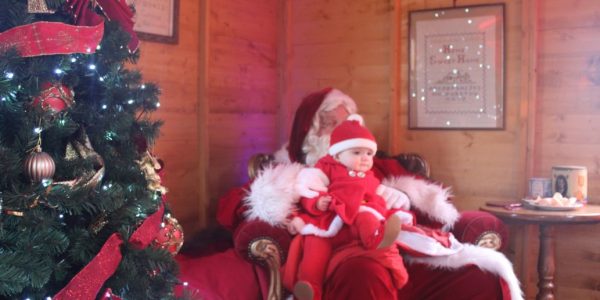 Santa's Grotto hire