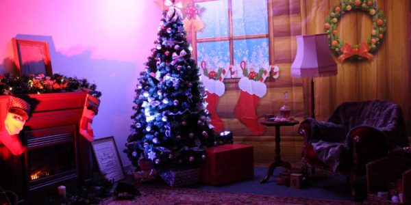 Xmas Grotto Transformation