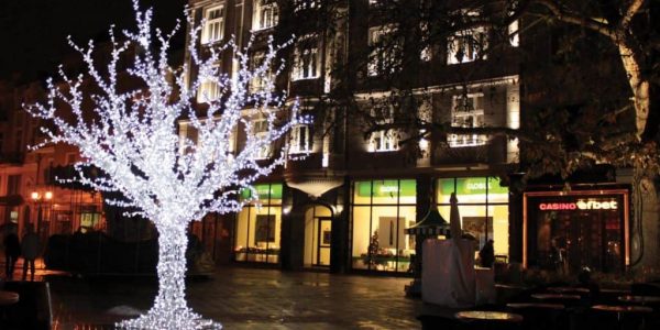 Outdoor Christmas Lighting