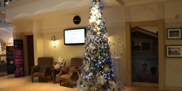 White and Blue Tree