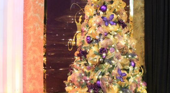 Christmas Props and Setups
