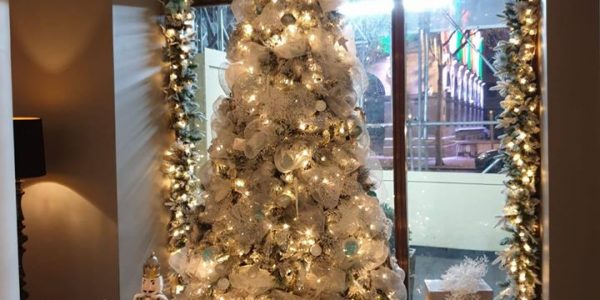 Christmas Trees Nutckacker Window