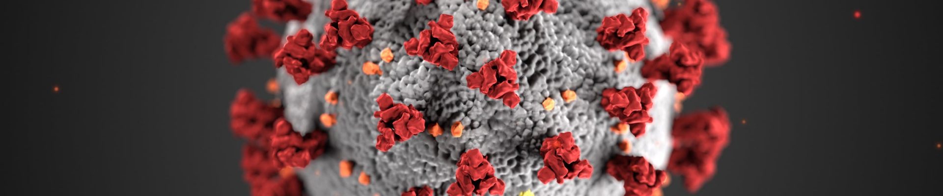 Coronavirus-What-We-Are-Doing-For-Our-Events