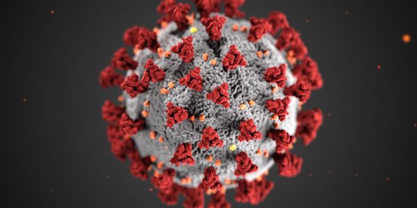 Coronavirus-What-We-Are-Doing-For-Our-Events