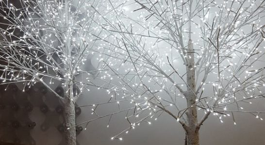 Holiday Tree for hire