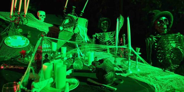 Scare-Attraction-Scenery-Set