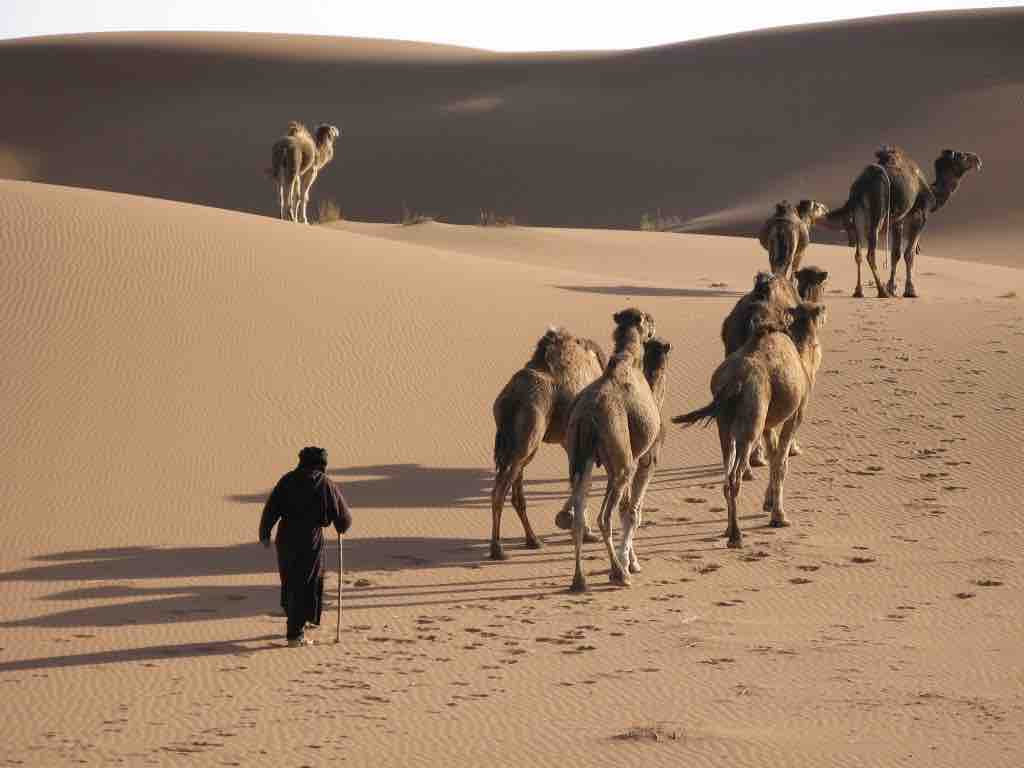 Activities taking place as part of the Saudi Seasons in 2022.