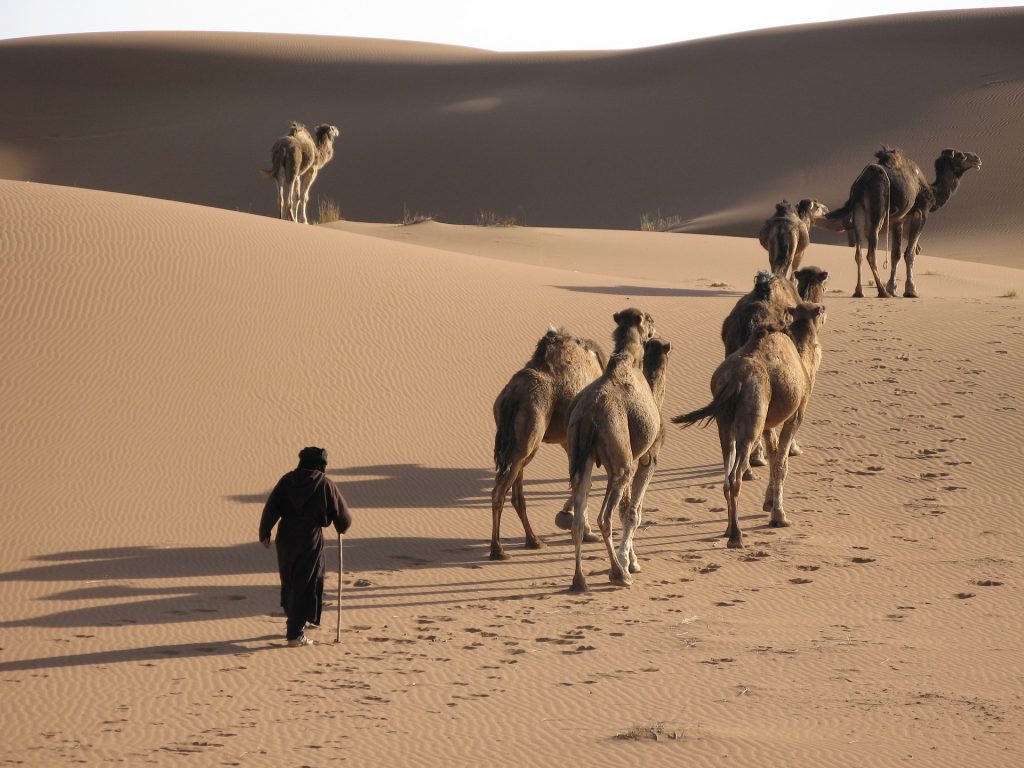 Activities taking place as part of the Saudi Seasons in 2022.