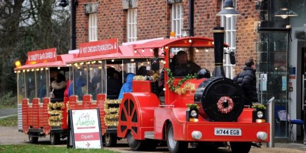 Seasonal-train-rides-for-hire