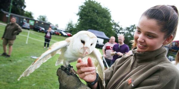 Animal-Petting-Zone-At-Family-Fun-Day