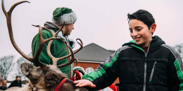 Child-Petting-Reindeer