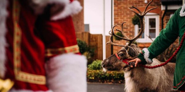Christmas-Reindeer-For-Hire