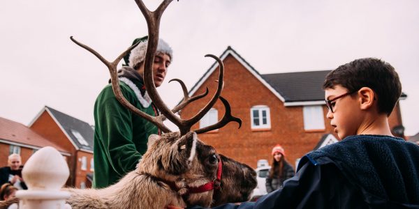 Christmas-Reindeer-Outdoor-Christmas-Event