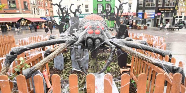 Custom-Spider-Scenic-Installation-For-Halloween