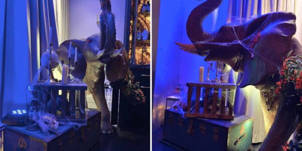 Elephant prop with Halloween decorations used to transform a clients home in London.