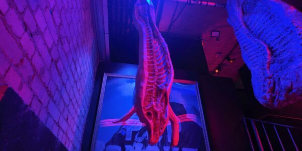 Hanging-Slaughter-Pig-Scenic-Installation