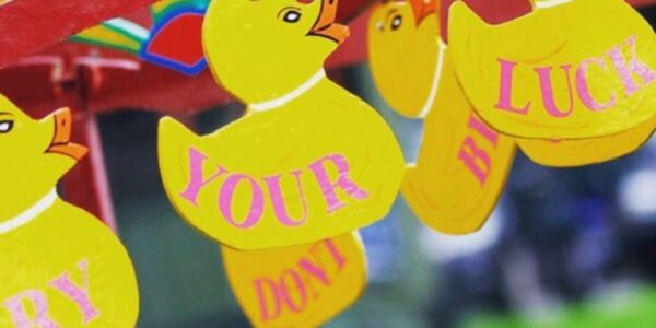 Hook-A-Duck-Decorations