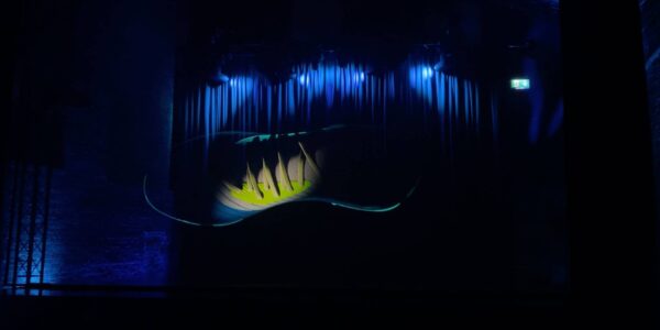 Live-projected-Hologram-Of-Trainer