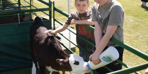 Mobile-Farms-For-Fun-Day-Events