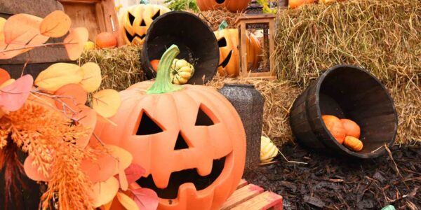 Pumpkin-Patch-Installation-For-Exterior-Venue-Dressing