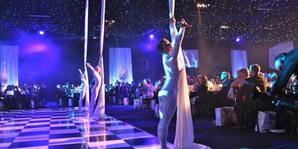 Silk-Aerialist-Performers-at-Gala-Dinner