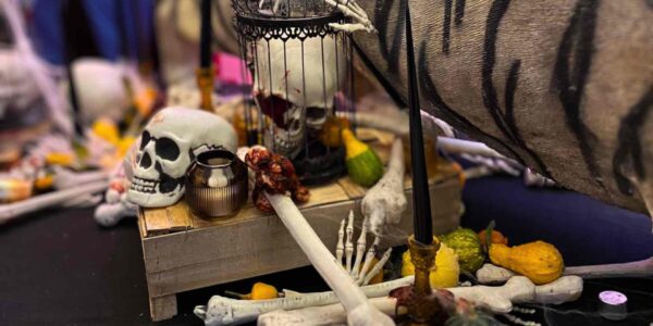Skull, bones and cage props used for Halloween house dressing.