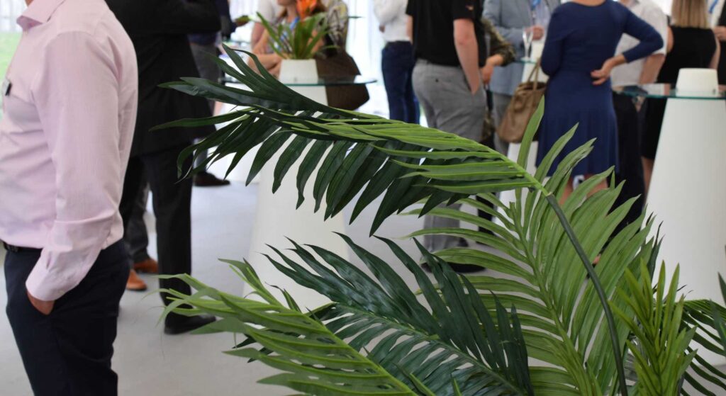 Green plants at a sustainable event.