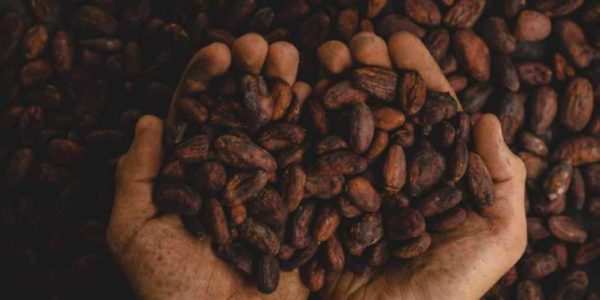 Virtual-Chocolate-Tasting-Experience