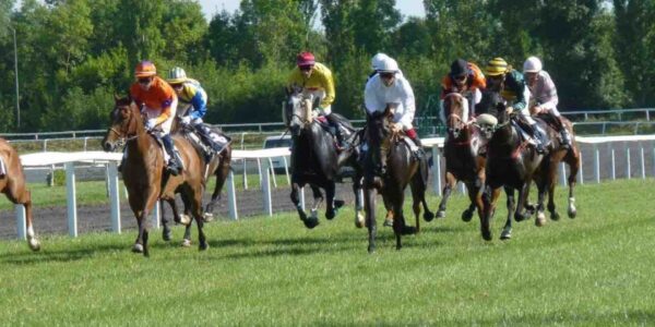 Online-Horse-Racing-Jockey